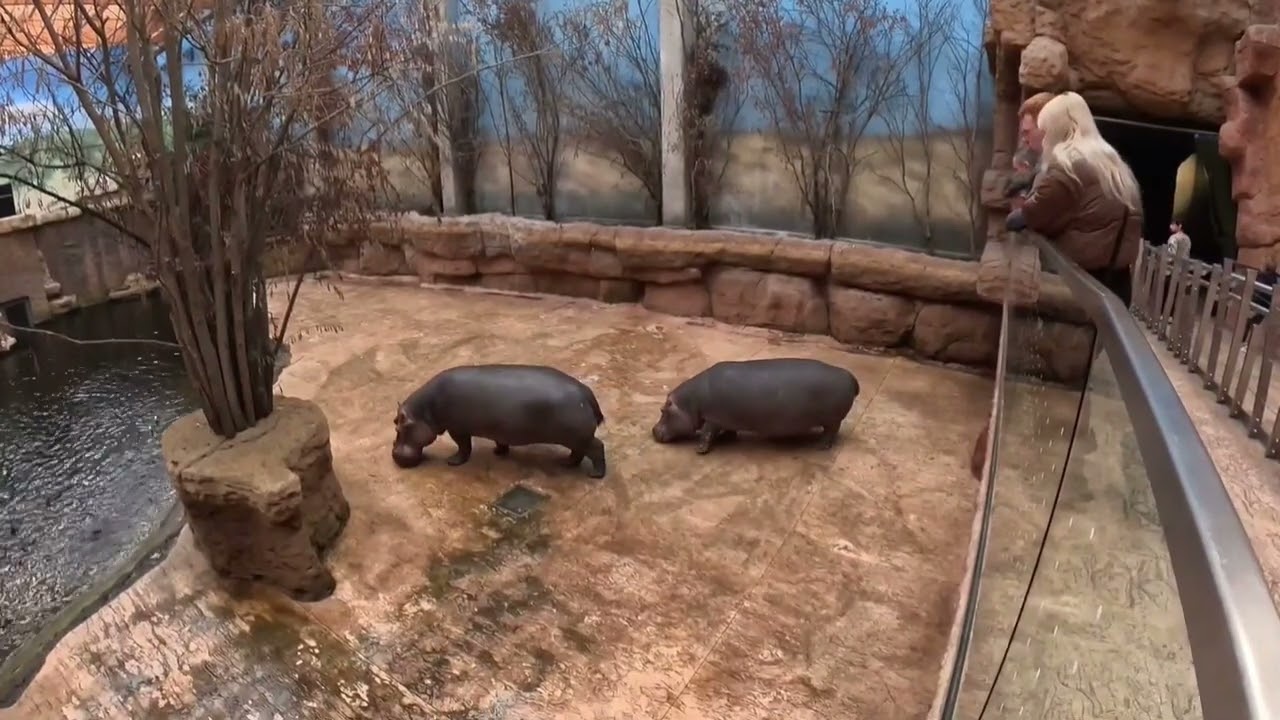 Wroclaw  🇵🇱💦 Family Fun in Poland