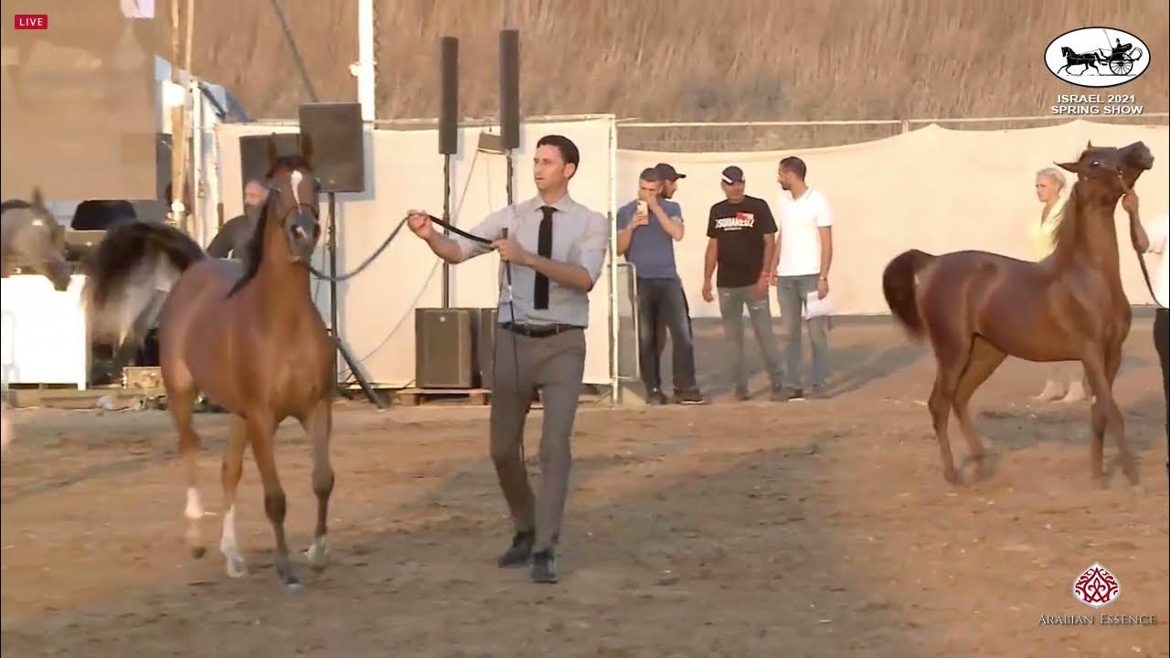 Spring Show 2021 - Class 7C.mp4 - YouTube