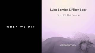 Luka Sambe & Filter Bear - Birds Of The Ravine (Luka Sambe Remix) [onedotsixtwo]