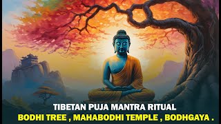 Tibetan Puja Mantra Ritual , Bodhi Tree , Mahabodhi Temple , Bodhgaya .