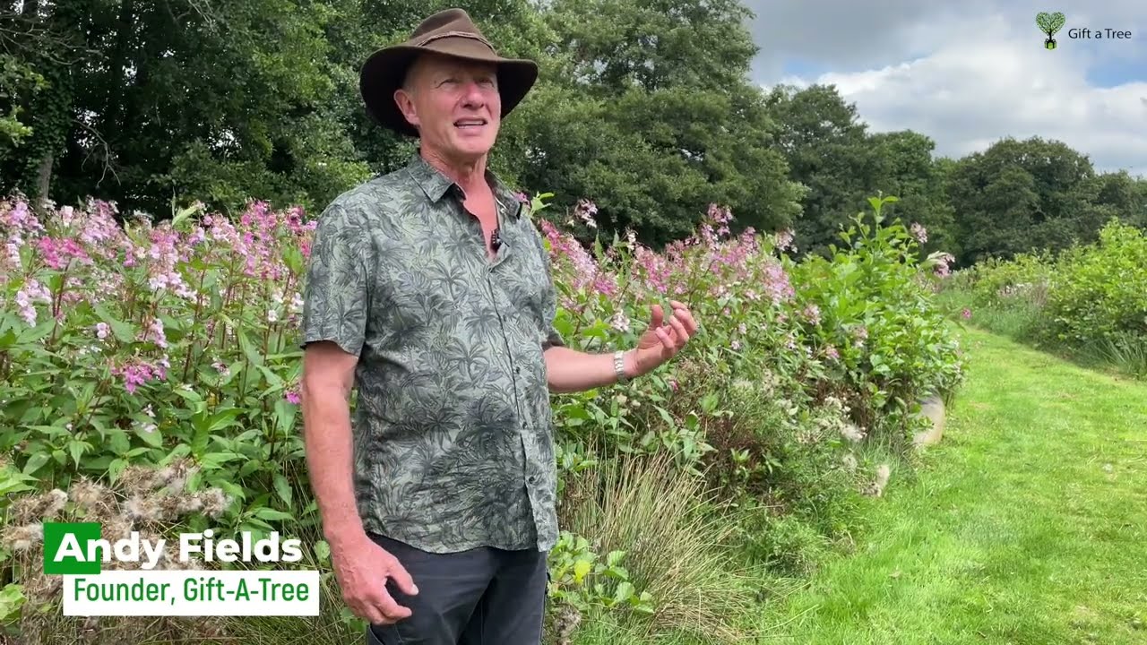 Gift-A-Tree and Airwave, a sustainable partnership...