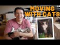 Moving with Cats