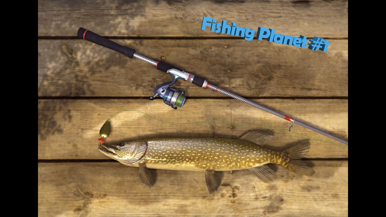 Chwila relaksu, idziemy na rybki.