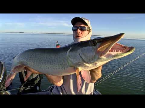 Pete Maina Professional Muskie Angler 