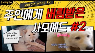 주인에게 버림받은 사모예드 구조이야기 #유기견 #개는훌륭하다 #세나개 #우리개연구소