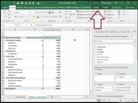Vidéo: Comment voir les champs de tableau croisé dynamique dans Excel ?
