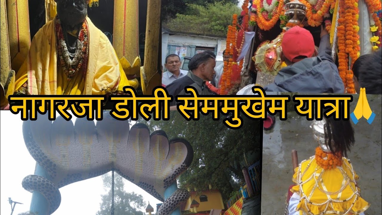 Jay nagraja devta || नागरजा डोली सेममुखेम यात्रा || #nagraja#devta #sem #Mukhem pahadi culture video