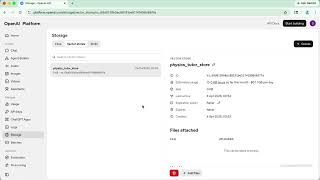 2.17 HANDS-ON : Create Vector Store from Files Part 2