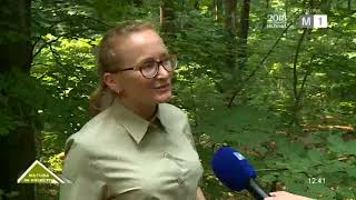 Rezervațiile Dolna și Cobac