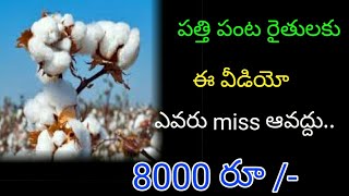 Patti news ap and ts | raithulu New scheme | raithulu | Patti rate increases | today Patti price inc