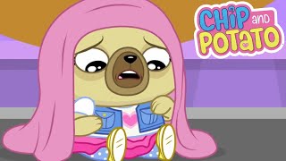 Chip And Potato A Playdate At Nicos Roxy The Babysitter Cartoons For Kids Netflix