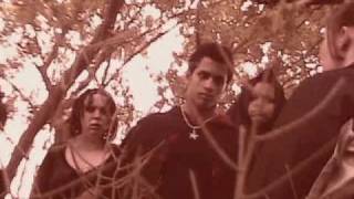 northern star music video