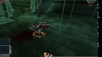 LAST CHAOS 300 [SKILL HACK]