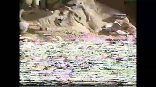VHS Damage 11
