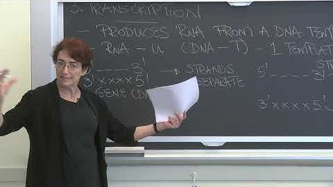 Lecture 3.3: Information Transfer in Biology  — Transcription