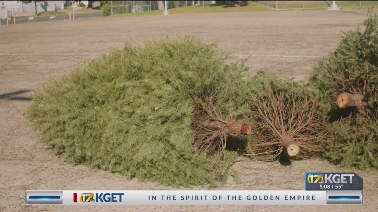 Christmas tree recycling programs kick off in Kern County - YouTube