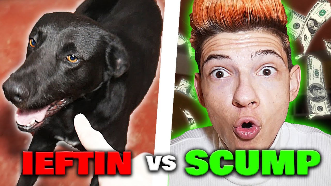 ⁣IEFTIN VS SCUMP - CU CATELUL MEU (OASE DE 1000 LEI)