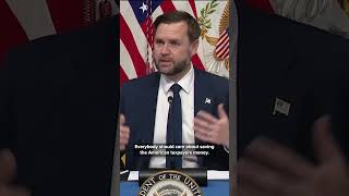 VP JD Vance says everybody should care about fraud, rooting it out, and saving taxpayers money