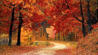 Theme From The Apartment 1960 Film