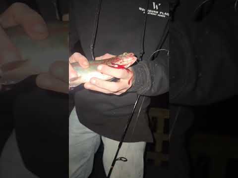 So That Happened...