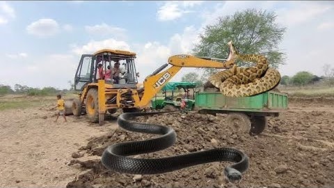 New Jcb 3dx Eco Xpert Loading Mud In Mahindra YUVO and Swaraj Tractors ^ Jcb and Tractor Cartoon