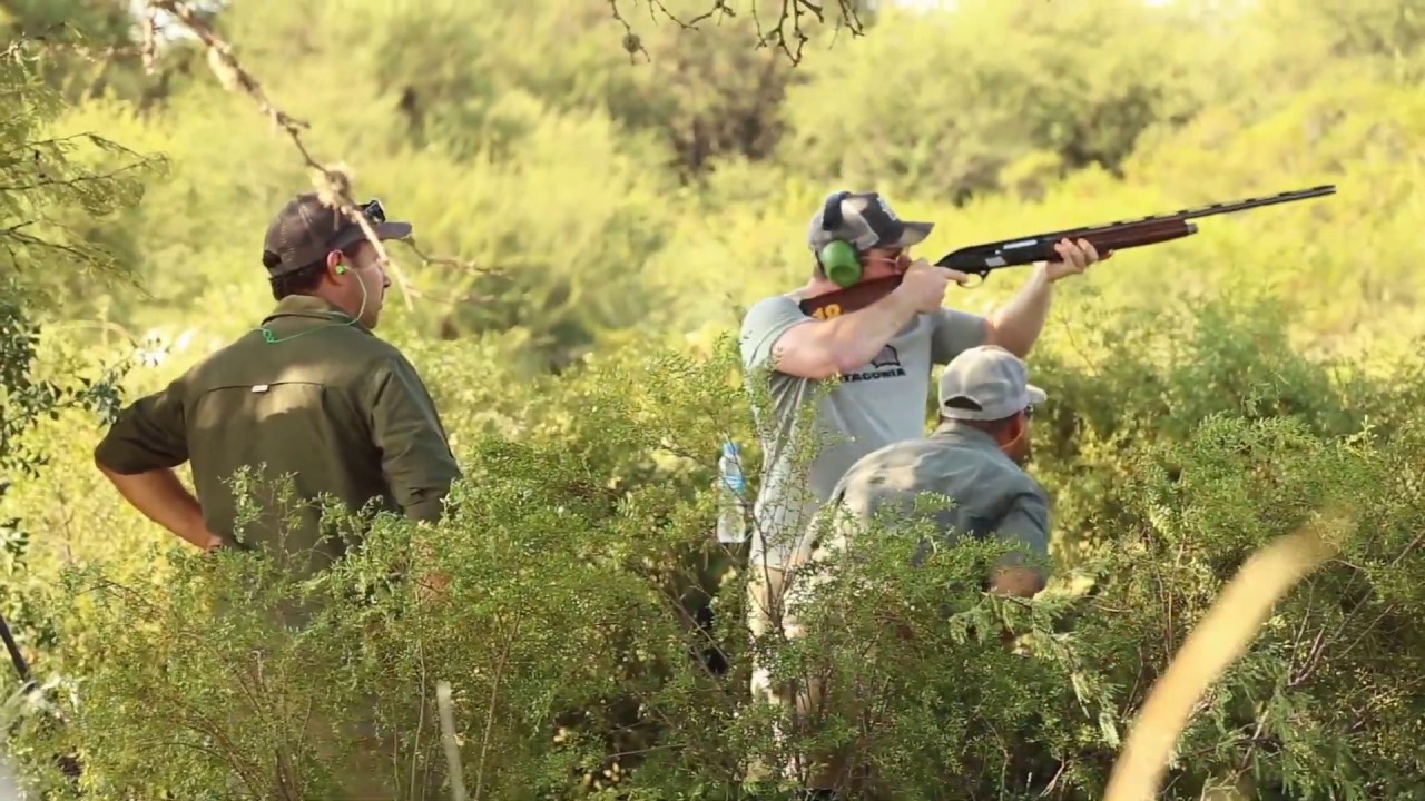 Dove - Hunter Roy Argentina
