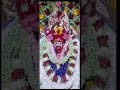 joy tara