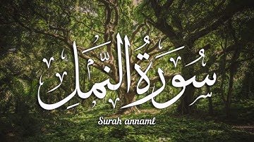 سورة النمل بصوت رائع تخشع له القلوب | تلاوة مباركة