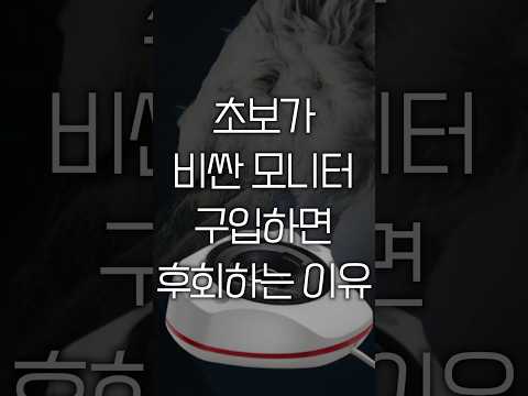 초보가 비싼 모니터 구입했다가 후회하는 이유 #shorts