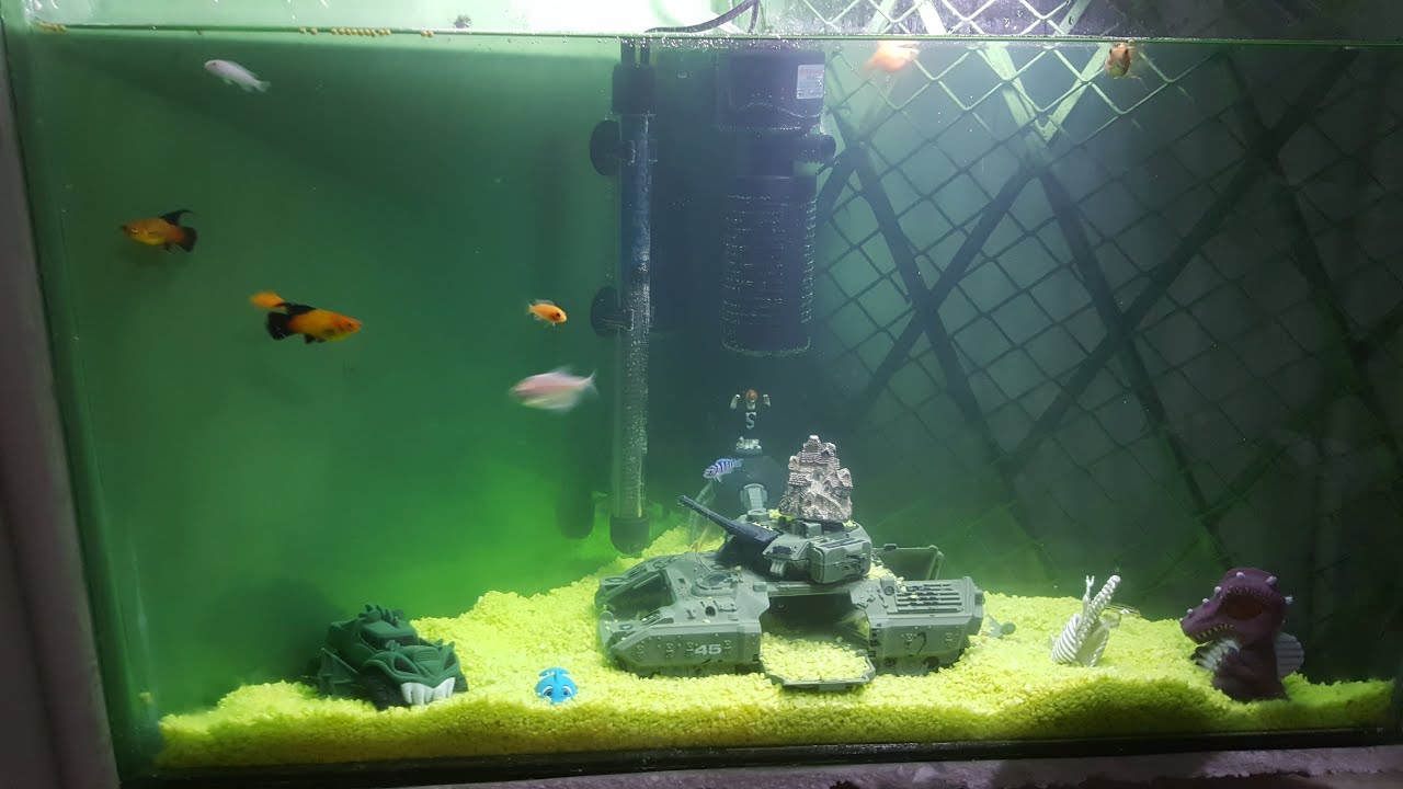 triangle fish tank
