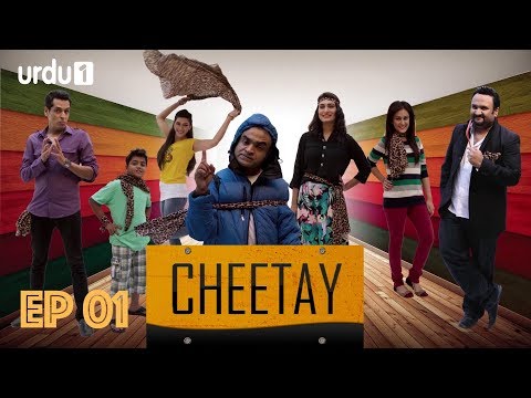 cheetay-|-episode-01-|-pakistani-comedy-play-|-adarsh-ayaz-|-najaf-bilgrami-|-urdu1-tv-dramas