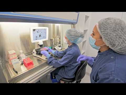 Tour of Children's Medical Research Institute