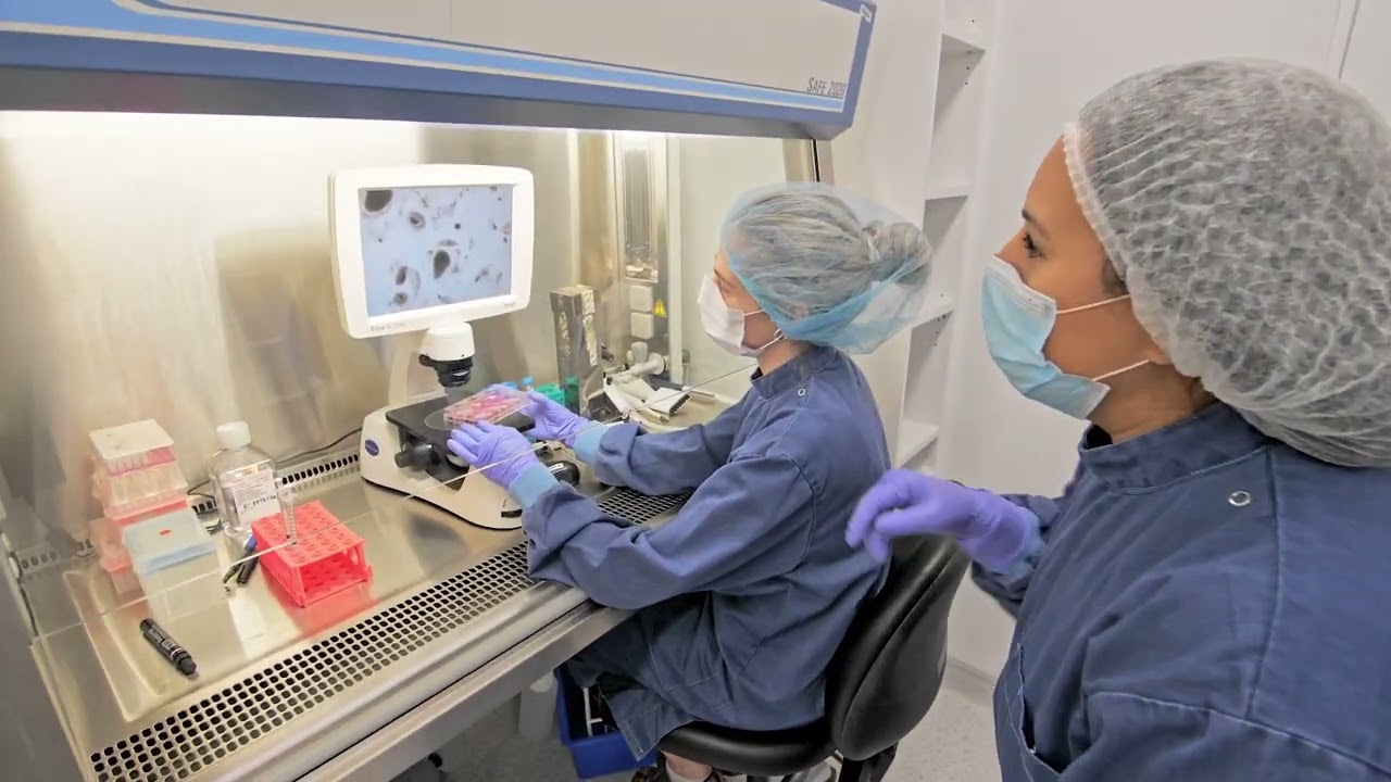 Tour of Children's Medical Research Institute YouTube