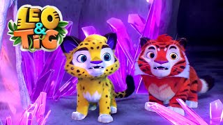 Leo and Tig 🦁 The Mysterious Cave 🐯 Funny Family Good Animated Cartoon for Kids