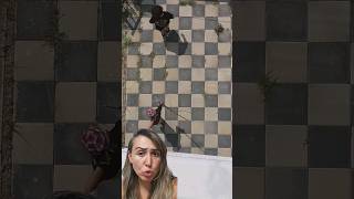 Aldın Mı?Şapkanı