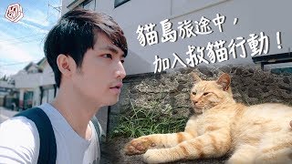 【Vlog】日本貓島輕旅，貓咪多到數不完！Ft.尚潔sanche＃日本 ...