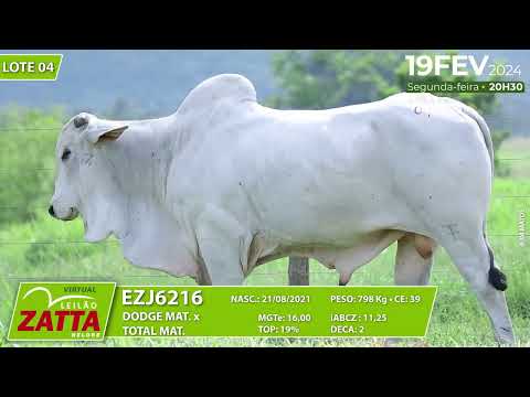 LOTE 04 EZJ 6216