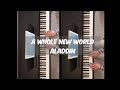 A whole new world - Aladdin Disney (4 mains)