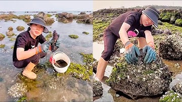 Vang vis en zeekrabben | Video over het vangen van krabben #krab #vissen #vangen #jagen