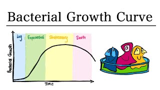 The Bacterial Growth Curve | MCAT Biology