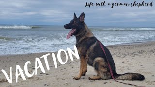 Vacation mode for a military dog handler and her german shepherd