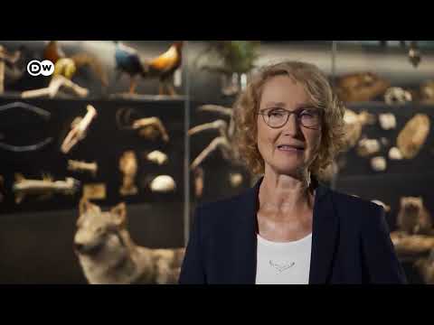 وثائقي | جدل أخلاقي: هل يجب إعادة الأنواع المنقرضة إلى الحياة؟ | وثائقية دي دبليو