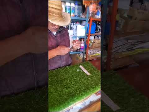 #shorts Regalan Perrito en Adopción Vacunado