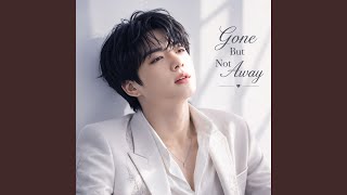 The Night We Lost Forever - Broken Melody