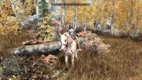 Skyrim - Illusion Assassin Build Khajiit - Part 3 - Speech boost and free horse