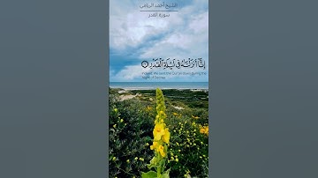 تِلاوة من سورة القدر || الشيخ أحمد الريامي #اكسبلور