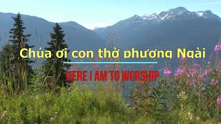 Miniatura de vídeo de "Chúa ơi con thờ phượng Ngài - Here I am to worship (Phương Hà) David Dong"