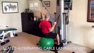 Seated SB Alternating Cable Lat Pull Down Wealth