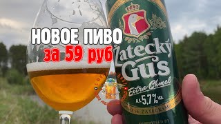 Новое пиво Жатецкий Гусь Экстра Хмель за 59 рублей. Пробуем!