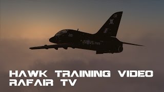DCS HAWK. Start up tutorial